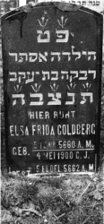 1974-4806 Een grafzerk op de Israëlitische begraafplaats aan het Toepad, rij 9 nummer 42.