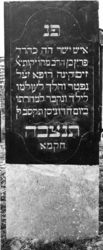 1974-4875 Een grafzerk op de Israëlitische begraafplaats aan het Toepad, rij 12 nummer 2.