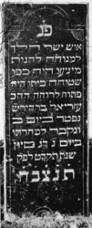 1974-4881 Een grafzerk op de Israëlitische begraafplaats aan het Toepad, rij 12 nummer 8.