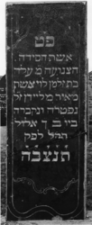 1974-4884 Een grafzerk op de Israëlitische begraafplaats aan het Toepad, rij 12 nummer 11.
