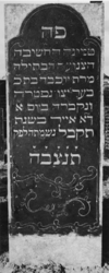 1974-4895 Een grafzerk op de Israëlitische begraafplaats aan het Toepad, rij 12 nummer 22.
