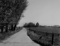 1976-594 Zijweg van de Laan van Koot nabij de boerderij van Koot. Vanuit het westen.