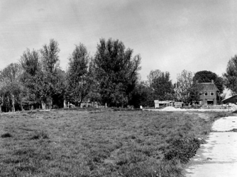 1976-596 Boerderij van Koot in Berkel en Rodenrijs. Boerderij en bijgebouwen uit het westen.