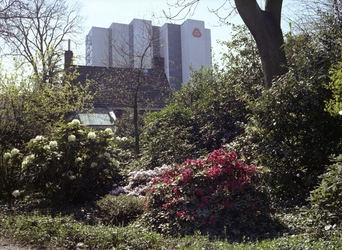 1981-1970 Foto vanuit het Arboretum Trompenburg richting het Adriaan Volkerhuis aan de Oostmaaslaan. Achter de struiken ...