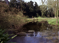 1981-1971 Bomenpark Arboretum Trompenburg aan de Honingerdijk.