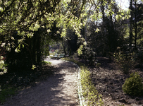 1981-1973 Bomenpark Arboretum Trompenburg aan de Honingerdijk.