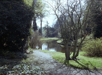 1981-1975 Bomenpark Arboretum Trompenburg aan de Honingerdijk.