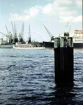 1982-3617 Gezicht op de Nieuwe Maas met het passagiersschip de Veendam aan de Lloydkade, bij het terrein van de ...