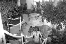 1988-2120 Zwembad Tropicana met interieur.
