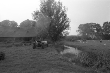 1991-1010 De boerderij van schaapsherder Hallensleben aan de Nesserdijk 368.