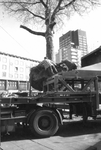 1994-1546-TM-1551 Reportage over het verwijderen van bomen aan de Coolsingel in verband met de aanleg van de ...