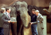 1994-3254 De jonge olifant Bernhardine begroet Prins Bernhard tijdens de opening van het nieuwe olifantenverblijf ...