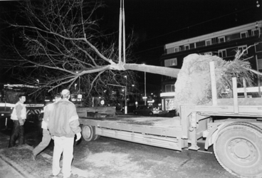 2000-716 17 november 1998Met een dieplader word een lindeboom van de Stadhoudersweg verplaatst naar het Vroesenpark.