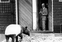 2005-5623 In Diergaarde Blijdorp is fotograaf Kees Molkenboer bij een tapir.