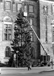 2005-9530-TM-9532 De kerstboom voor het stadhuis-9530: De kerstboom uit Noorwegen wordt met hulp van een hoogwerker ...