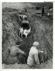 1967-379 Werkzaamheden aan de waterleiding van de Drinkwaterleiding Rotterdam (DWL) op de Berenplaat bij IJsselmonde.