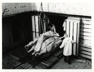 1974-1958 Het laden en lossen van vleeswaren.