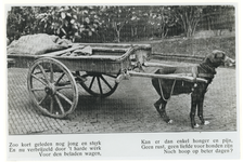 1977-176 Een goederenkar getrokken door een hond, met daaronder een pleidooi tegen het gebruik van honden als trekdieren.