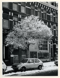 1978-454 Besneeuwde boom op het Heemraadsplein met het trottoir aan de westzijde.