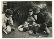 1981-782 Jongens stoken een vuurtje bij een boom.