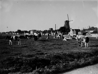 1973-109 Gezicht te Overschie: boerderij, bebouwing, en snuifmolen De Nieuwe Werklust, uit het zuidoosten. Nabij de Schans.