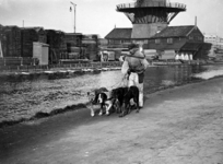 XXXIV-34-9 Gezicht op de Rotterdamse Schie met houtzaagmolen de Vlaggeman, met venter en trekhonden langs de Schie .