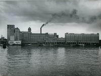 1976-14448 De meelfabriek Meneba aan de zuidzijde van de Maashaven.