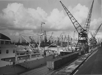 1976-14475 Vrachtschepen aan de kade van de Merwehaven, bij rederij Müller & Co voor laad -en loswerkzaamheden met ...