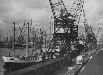 1976-14483 Vrachtschepen aan de kade van de Merwehaven, bij rederij Müller & Co voor laad -en loswerkzaamheden met ...