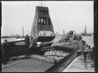 1976-4182 Verladen van bulk. Het laden of lossen van kolen in een binnenschip.
