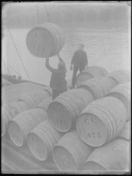 1976-4566 Het lossen van vaten wijn in de Entrepothaven.