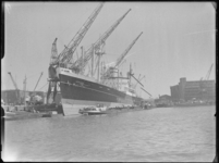 1976-6053 Het schip de Schiedijk van de Holland-Amerika Lijn aan de kade van de Rijnhaven. Op de achtergrond het ...