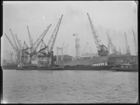 1976-6109 Hout lossen van hout vanaf het schip de Ellen Maersk aan de Merwehaven, bij de firma Corn. Swarttouw. Uit het ...