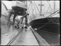 1976-6906 Het schip de Noordam aan de Wilhelminakade. Op de kade scheepsbevrachting.