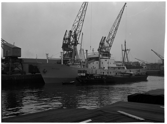 1976-7807 Het schip 'Birkholm' in de Binnenhaven, voor de firma Vijfvinkel's expeditiebedrijf.