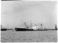 1976-7831 Het schip de s.s. Igor ligt aangemeerd bij de Waalhaven.