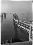 1976-7866 Beschadigde steiger in de Waalhaven als gevolg van een aanvaring.