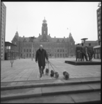 10017 Biljarter Piet van de Pol wandelt op het Stadhuisplein met vier honden.