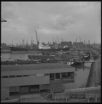10025 Maashaven met zeeschip en binnenvaartschepen, gefotografeerd vanaf metrostation Maashaven.