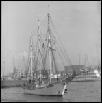 10364 Het Poolse zeilende schoolschip Zamisza Czarny bezoekt Rotterdam en zal afmeren aan de Parkkade.