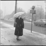 11732-2 Dame met paraplu staat bij een RET-bushalte ter hoogte van de kruising Heemraadssingel-Beukelsdijk tijdens ...
