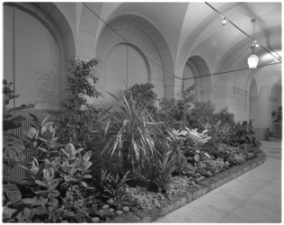 11909 Bakken met bloemen en planten in de hal van het stadhuis in het kader van de mini-expositie 'Plantsoenen - Nu'.