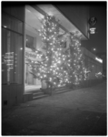 13153 Kerstbomen met verlichting voor de ingang van het Rijnhotel aan het Schouwburgplein. (hoek Mauritsweg)