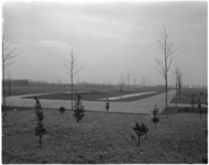 1342 Sprieterige bomen en struikjes tonen de aanleg van het Vroesenpark in Blijdorp.
