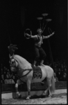 20014-44-9 Circusact op een paard in Circus Sarassani op de Sint-Jacobsplaats.