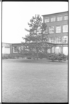 20032-69-0 Kerstboom bij Sophia Kinderziekenhuis.