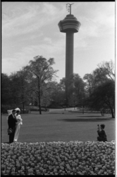 20038-77-0 Bruidspaar voor huwelijksfoto in het Park bij de Euromast.