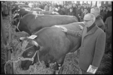 20895-3-30 Wethouder J. Worst (met bril) legt zijn arm op de rug van een koe en opent de 98ste Paasveetentoonstelling ...
