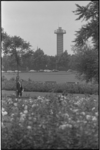 21037-5-2 Het zuidelijk deel van het Vroesenpark nabij de Stadhoudersweg met zicht op de uitkijktoren van Diergaarde ...