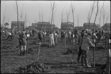 21870-3-14 Op de landelijke boomfeestdag planten scholieren zevenhonderd populieren in het Molenlaankwartier.